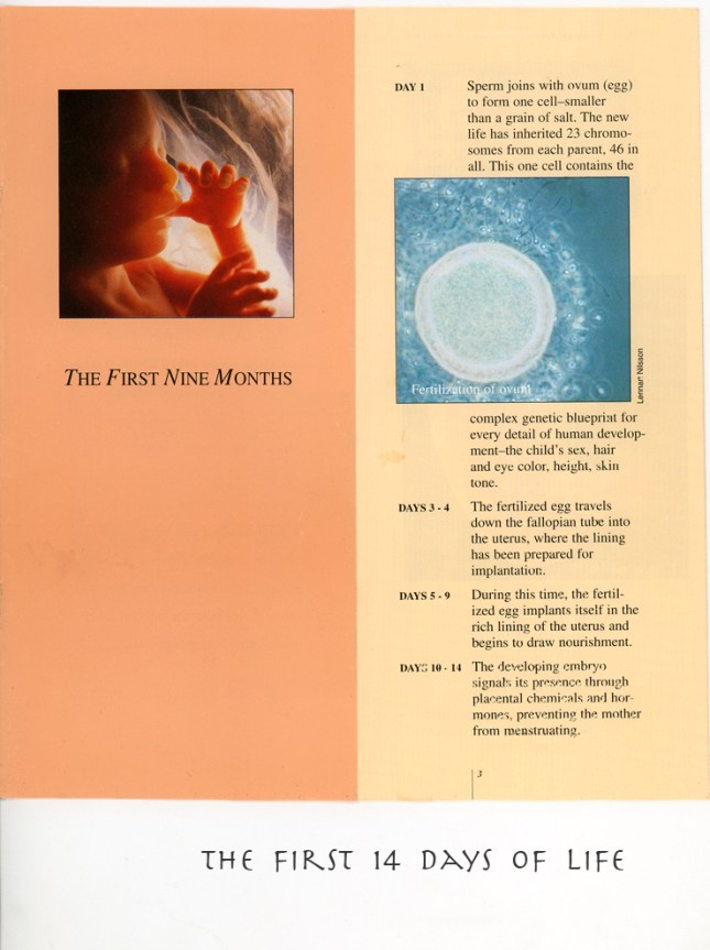 ppb first weeks copy